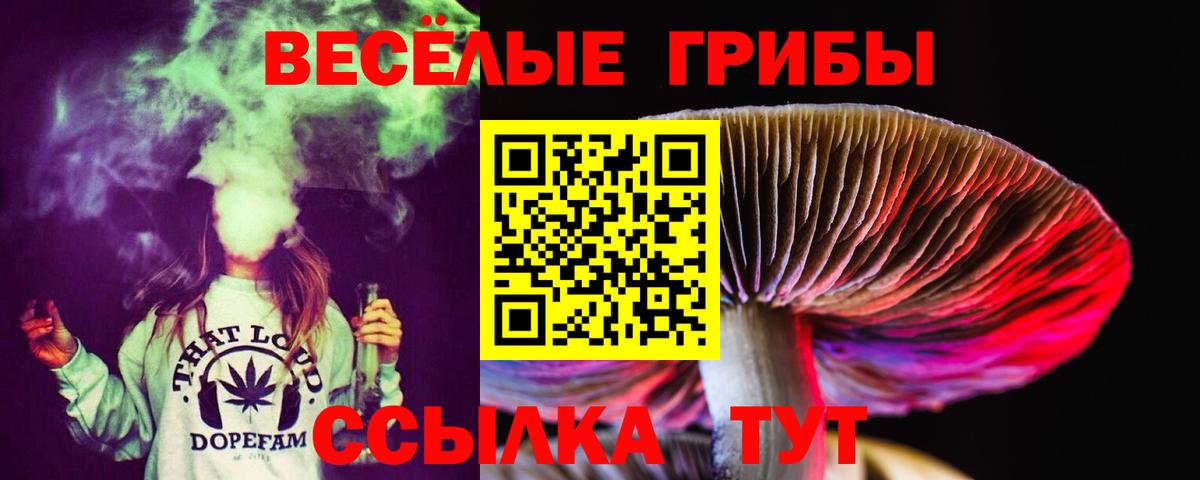 Галлюциногенные грибы Magic Shrooms  Галлюциногенные грибы мухоморы  Вход с VPN  Вышний Волочёк 